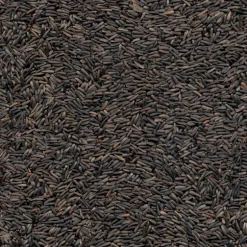 Kaytee Nyjer Songbird Nyger Thistle Seed Wild Bird Food 20 lb
