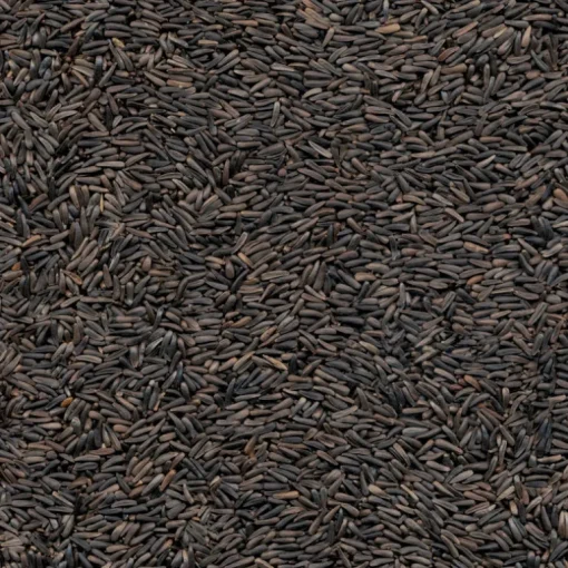 Kaytee Nyjer Songbird Nyger Thistle Seed Wild Bird Food 20 lb