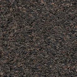 Kaytee Nyjer Songbird Nyjer Seed Wild Bird Food 4.65 lb