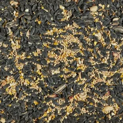 Kaytee Songbird Black Oil Sunflower Seed Wild Bird Food 14 lb