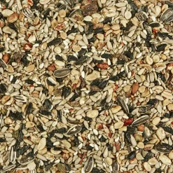 Kaytee Songbird Nut & Fruit Wild Bird Food 20 lb