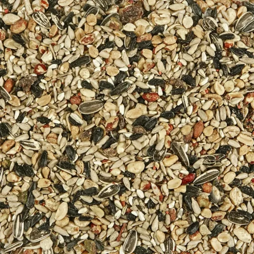 Kaytee Songbird Nut & Fruit Wild Bird Food 20 lb