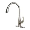 KITCHEN FAUCET PD BN