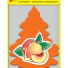 Little Trees Car Air Freshener 1 pk (Pack of 24)