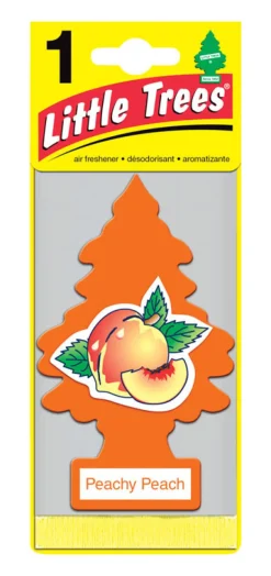 Little Trees Car Air Freshener 1 pk (Pack of 24)