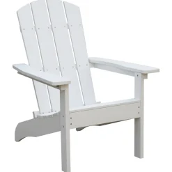 Living Accents 1 person White Resin Adirondack Chair