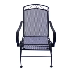 Living Accents Winston Black Steel Frame Spring Dining Chair (Pack of 2)