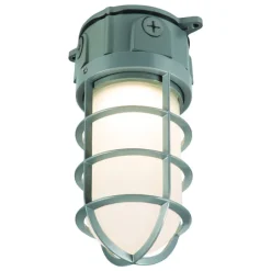 Lumark Vaportight Switch Hardwired LED Gray Area Light