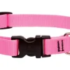 LupinePet Basic Solids Pink Pink Nylon Dog Adjustable Collar