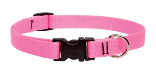 LupinePet Basic Solids Pink Pink Nylon Dog Adjustable Collar