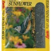Lyric Assorted Species Wild Bird Food Black Oil Sunflower Seed 10 lb.
