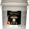 Masonry & Stucco Paint, Flat White, 5-Gallons