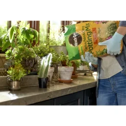 Miracle-Gro Cacti, Citrus and Palm Potting Mix 8 qt