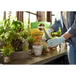 Miracle-Gro Cacti, Citrus and Palm Potting Mix 8 qt