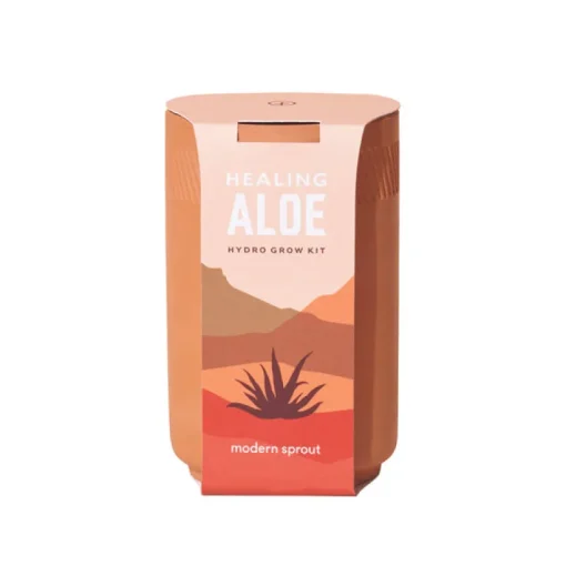Modern Sprout Healing Aloe Succulent Seed Starter Kit (Pack of 6)