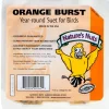 Natures Nuts 00164 11.5 Oz Orange Burst Suet (Pack of 12)