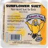 Natures Nuts 00165 11.5 Oz Sunflower Suet Dough (Pack of 12)