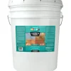 NewLook SmartStain Clear Acrylic Concrete Stain 5 gal