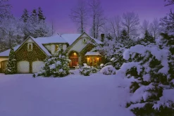 Night Stars Premium Series Laser/LED Light Green/Red 1 lights