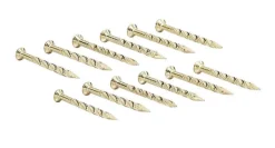 Nl Cpt Trm Brs1-1/4 12ct