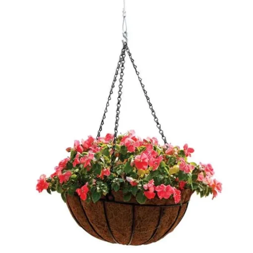 North States 32 in. H Feeder Cable and Hook