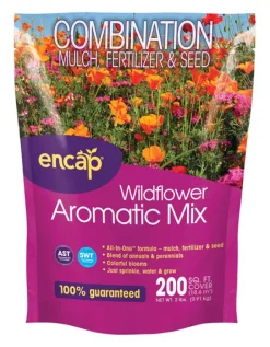 Ns Aromatic Wildflowers (Pack of 6)