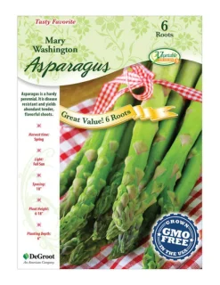 Ns Asparagus (Pack of 10)