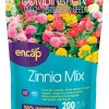 Ns Zinnia Flowers (Pack of 6)
