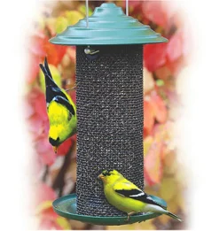 Nyjer Thistle Magnum Feeder, 3/4-Lb.