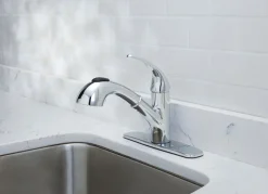 Oak Brook Ceramic Chrome 1.8 GPM High Arc Spout One Handle Pull-Out Kitchen Faucet