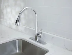 Oak Brook Ceramic Chrome 1.8 GPM High Arc Spout Pull-Down One Handle Kitchen Faucet