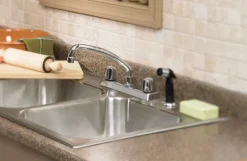 OakBrook Washerless Cartridge Two Handle Chrome Kitchen Faucet Side Sprayer Included