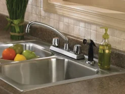 OakBrook Washerless Cartridge Two Handle Chrome Kitchen Faucet Side Sprayer Included