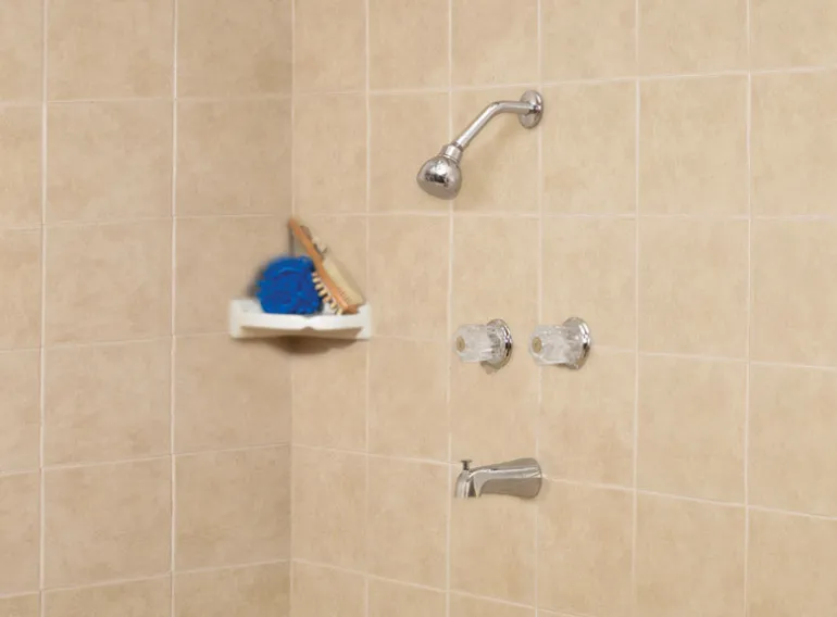 OakBrook Essentials 2-Handle Chrome Tub and Shower Faucet