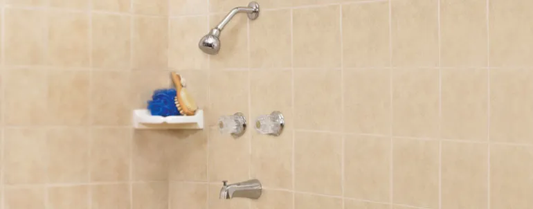 OakBrook Essentials 2-Handle Chrome Tub and Shower Faucet