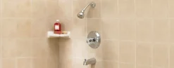 OakBrook 1-Handle Chrome Tub and Shower Faucet