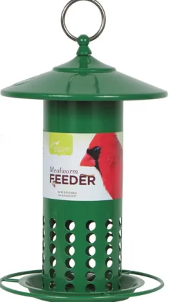 Pacific Bird & Supply Co Inc Pb-0066 6.25 X 6.25 X 11.25 Green Mealworm Feeder