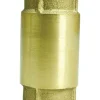 Parts 2O Brass Spring Check Valve
