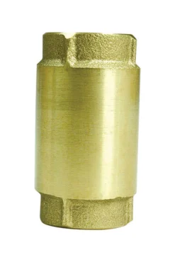 Parts 2O Brass Spring Check Valve