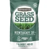Pennington Kentucky 31 Tall Fescue Grass Sun or Shade Grass Seed 40 lb