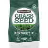 Pennington Kentucky 31 Tall Fescue Grass Sun or Shade Grass Seed 5 lb