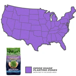 Pennington Smart Seed Mixed Dense Shade Grass Seed and Fertilizer 3 lb