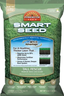Pennington Smart Seed Tall Fescue Grass Sun or Shade Grass Seed & Fertilizer 3 lb