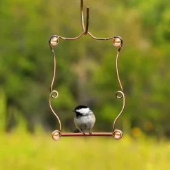 Perky-Pet 7.25 in. H X 5 in. W Hummingbird Swing