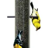 Perky-Pet Finch 2 lb Plastic Upside-Down Bird Feeder 6 ports