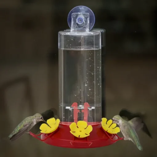 Perky-Pet Hummingbird 8 oz Plastic Window-Mount Nectar Bird Feeder 3 ports