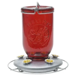 Perky-Pet Hummingbird 32 oz. Glass Nectar Feeder 5 ports (Pack of 2)