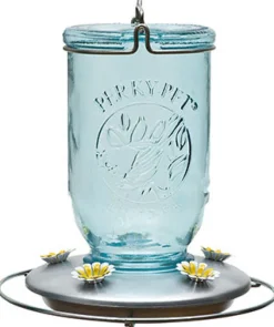 Perky-Pet Hummingbird 32 oz Glass/Metal Mason Jar Nectar Bird Feeder 5 ports