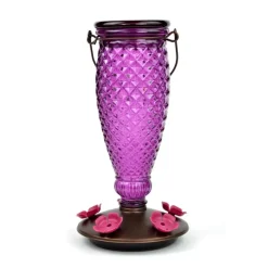 Perky-Pet Hummingbird 24 oz. Glass/Plastic Diamond Wine Nectar Feeder 5 ports (Pack of 2)