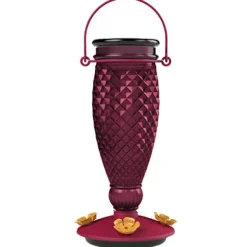 Perky-Pet Hummingbird 24 oz. Glass/Plastic Diamond Wine Nectar Feeder 5 ports (Pack of 2)